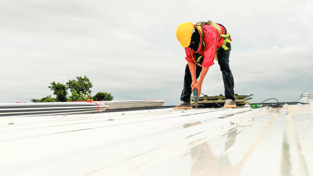 Best Skylight Installation and Repair  in Mount Jackson, VA